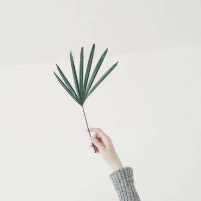 助赢软件app下载